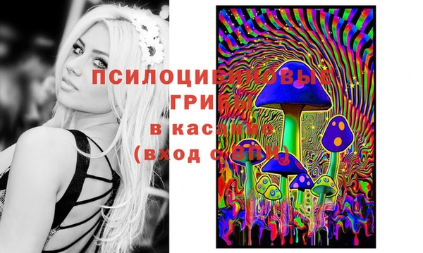 метадон Киселёвск