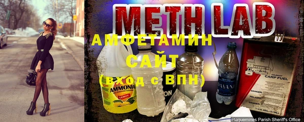 шишки Коряжма