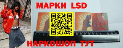 ECSTASY Камышлов