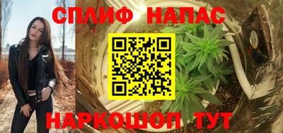 ECSTASY Камышлов