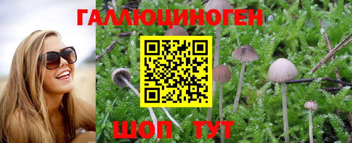 Псилоцибиновые грибы Cubensis Мелеуз